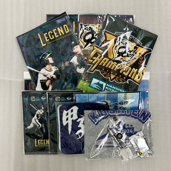 箱付き 阪神甲子園球場限定 阪神甲子園球場 100周年記念ミニチュア