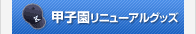 甲子園リニューアルグッズ