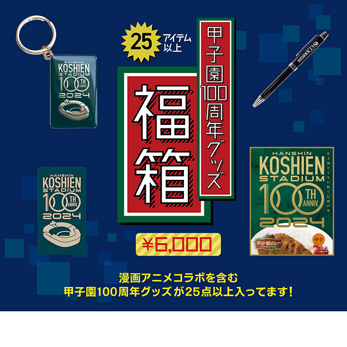 甲子園球場100周年グッズ福箱