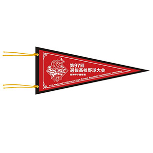 第97回選抜高校野球大会 - 阪神甲子園球場公式オンライン