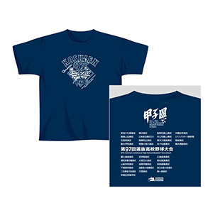 第97回選抜高校野球大会 - 阪神甲子園球場公式オンライン