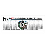 全国高等学校野球選手権大会 記念品 準優勝 全国高等学校野球選手権大会 記念品 準優勝 優勝・準優勝グッズ
