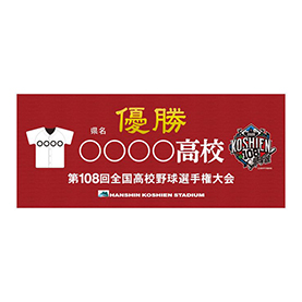 熱闘甲子園 2025年第107回大会 48試合完全収録DVD - 阪神甲子園球場