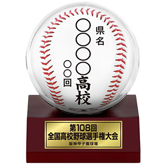 第108回 全国高校野球選手権大会 - 阪神甲子園球場公式オンライン