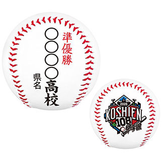 第108回 全国高校野球選手権大会 - 阪神甲子園球場公式オンライン