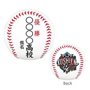 第108回 全国高校野球選手権大会 - 阪神甲子園球場公式オンライン