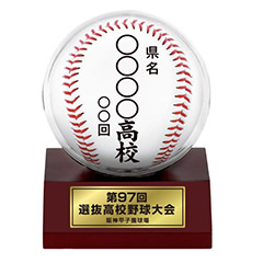 大会ボールケース(丸)