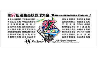Amazon.co.jp: 全国高校野球選手権大会 出場校校名ペナント
