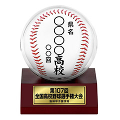 大会ボールケース(丸)