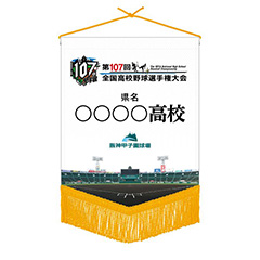 校名ミニペナント