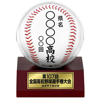 全国高校野球野球選手権大会 グッズセット タオル ボール SH_16JRMA0100_ML.jpg