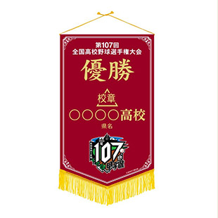 第107回 全国高校野球選手権大会 - 阪神甲子園球場公式