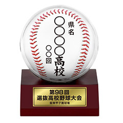 大会ボールケース(丸)