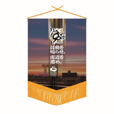 TUBE 甲子園100周年記念限定グッズ　ロゴ入りボール　ペナント 甲子園eモール】TUBE×阪神甲子園球場 コラボグッズ 2次販売の