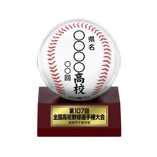 甲子園球場100周年　ボール（ボールケース入り）　5個セット 甲子園球場100周年 ボール（ボールケース入り）記念品 記念