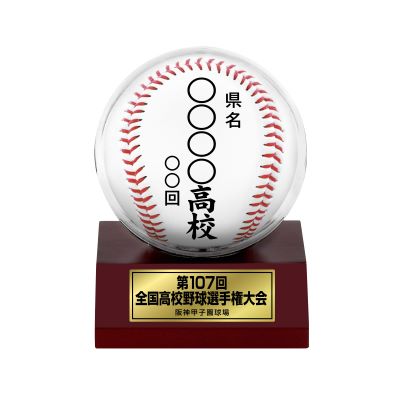 大会ボールケース　（丸）