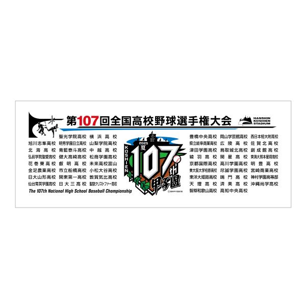 大会ボール - 阪神甲子園球場公式オンラインショップ 甲子園eモール