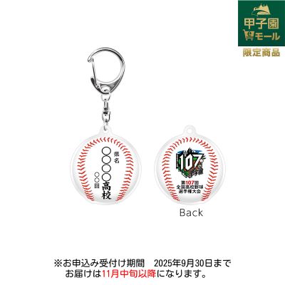 高校野球 キーホルダー等 詰め合わせ Amazon.co.jp: 第106回全国高校野球選手権大会記念キーホルダー
