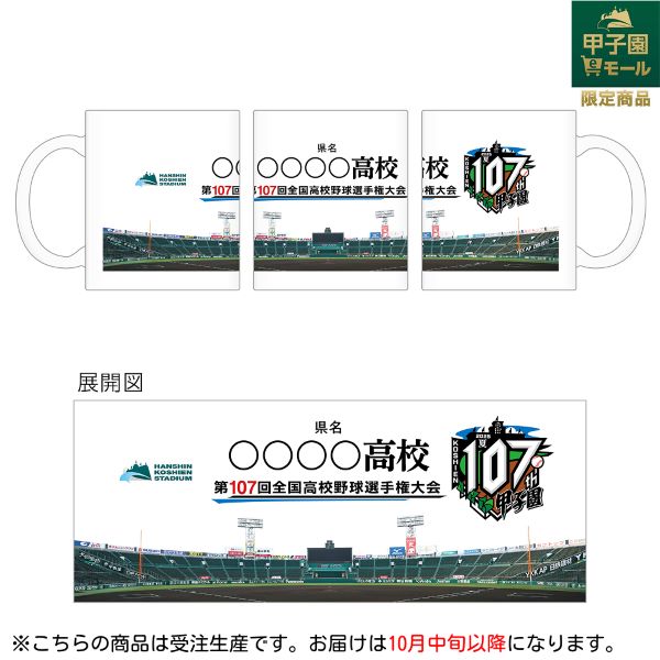 甲子園球場　オリジナルクッション　ラバーフェンス同素材 pc1_m.jpg