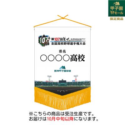 【受注生産】校名ベース型ミニペナント