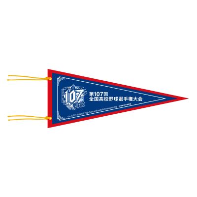甲子園高校野球記念ペナント26枚　ボール　2個　セット 甲子園高校野球記念ペナント26枚 ボール 2個 セット