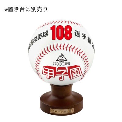 校名ボール(大)
