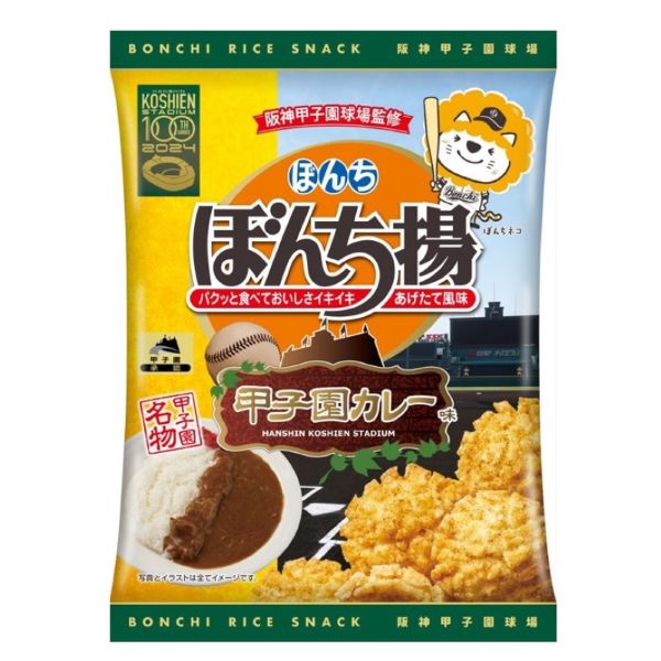 ★甲子園球場100周年　ぼんち揚甲子園カレー味