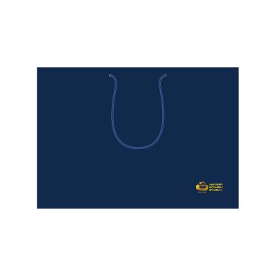 甲子園ギフト袋 大