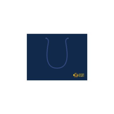 甲子園ギフト袋 小