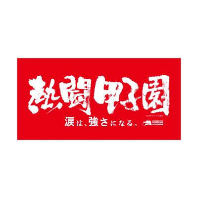熱闘甲子園×甲子園球場コラボ　バスタオル【赤】