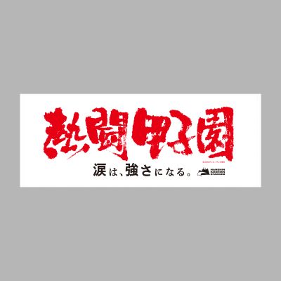 熱闘甲子園×甲子園球場コラボ　フェイスタオル【白】