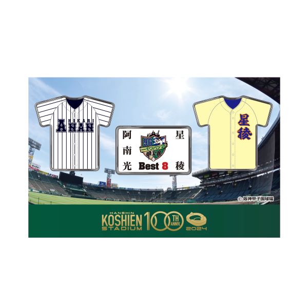 準決勝ピンバッジセット - 阪神甲子園球場公式オンラインショップ 