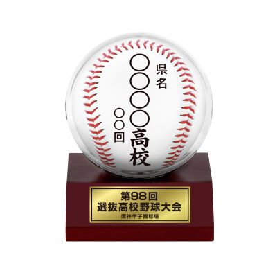 甲子園 ボール 大会ボールケース （丸） - 阪神甲子園球場公式オンラインショップ