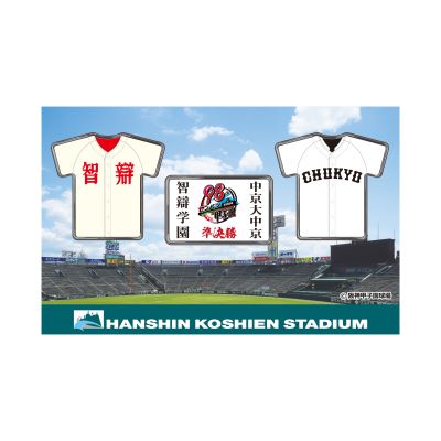 準決勝ピンバッジセット - 阪神甲子園球場公式オンラインショップ