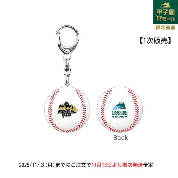 湘南乃風×甲子園球場 ミニボール【第１次販売】