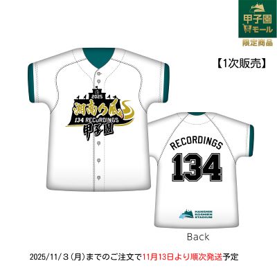 湘南乃風×甲子園球場 クッション【第１次販売】