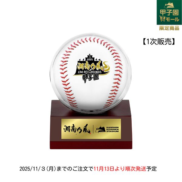 湘南乃風×甲子園球場 ケース付きボール【第１次販売】