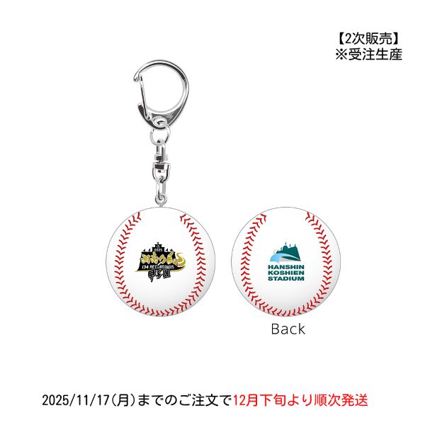 【第2次販売】湘南乃風×甲子園球場 ミニボール