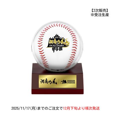 【第2次販売】湘南乃風×甲子園球場 ケース付きボール