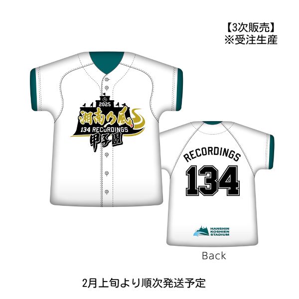 湘南乃風×甲子園球場 クッション【第3次販売】